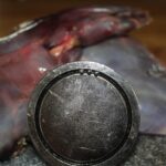 Wildmagneet