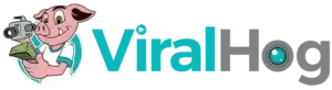 Viralhog logo